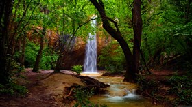 Magnificent_Forest_Waterfall