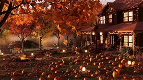 Country_Pumpkin_Patch 