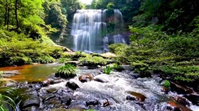 Nice Waterfall Stream