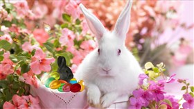 Easter_Time_2
