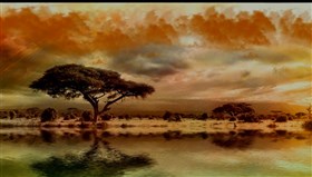 African_Monsoon
