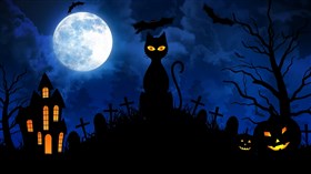 Halloween Scary Cat