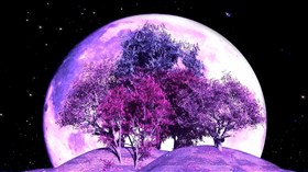 Moon View vv