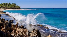 Rocky Shores
