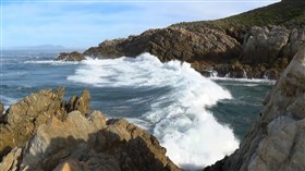 Rocky Cove