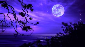 Moon and Starlight
