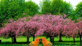 Spring Time