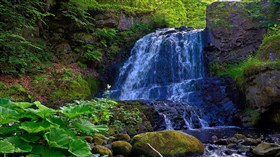 Waterfall Drop