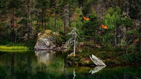 Forest Greens
