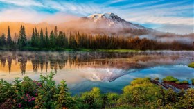 Nature Reflections