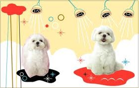 Dogs