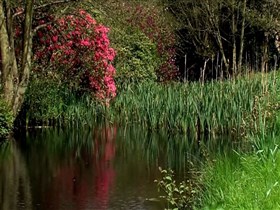 garden lake