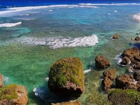 the tropical beach