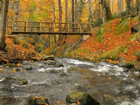 bridge over troubled waters