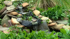 Pond Waterfall