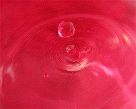 Pink Splash