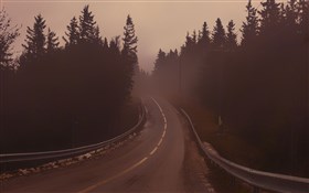 Empty road