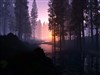 Forestree