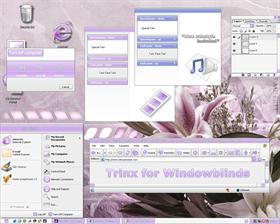 Trinx WB