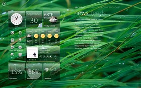 Grass