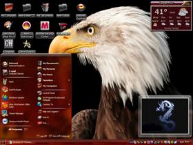 eagle6