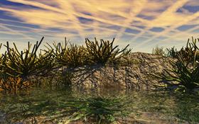 rock_pool
