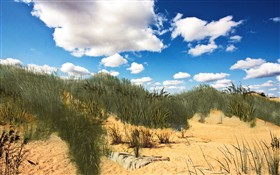 Dunes