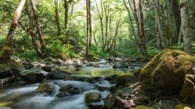 Rogue River Trail