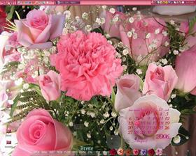 Blush Roses