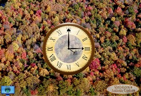 Rebecca's Autumn Colors