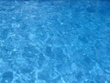 Dive In 
