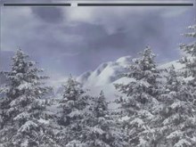 Winter In Montana