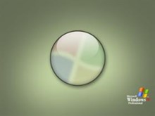 WXP