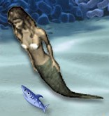 Mermaid