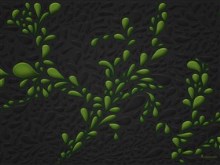 Drops (Green)