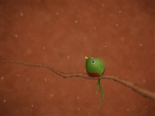 A Little Quetzal