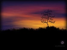 The sunset
