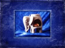 The Elephant and The Sea Shell