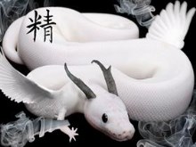 White Dragon-by artist4life05