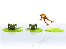 Frog by nicobou