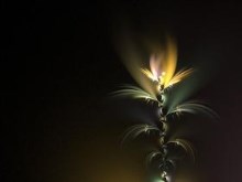 Nocturnal  by onebadpenny