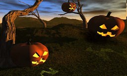 Pumpkin Patch