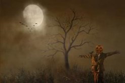 Pumpkin Man