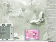 Delicate Butterflies