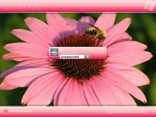 Vista Pink
