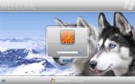 Silver LogonVista