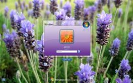 Splash Purple LogonVista