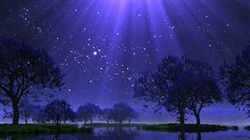 Lavender Dream