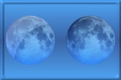 Palemoon