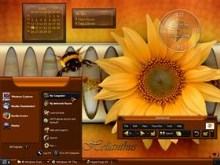 Wall_Flower